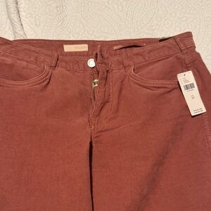 Pilcro Women's Flare Jeans in Rust